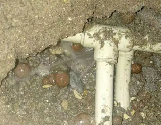托里卫生间测漏