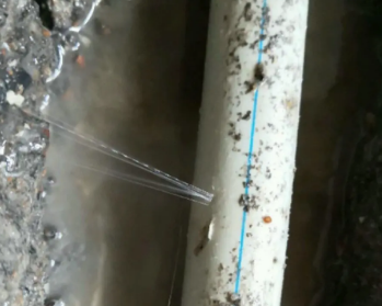 托里卫生间测漏水多少钱