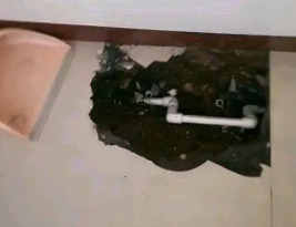 托里卫生间测漏水多少钱