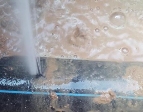 托里卫生间防水哪家好